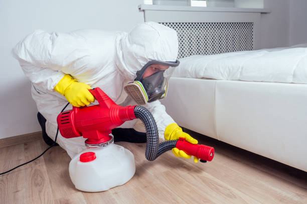 pest control worker lying on floor and spraying pesticides in bedroom. pest control worker lying on floor and spraying pesticides in bedroom.