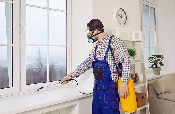 istockphoto 2212239089 612x612 istockphoto 2212239089 612x612